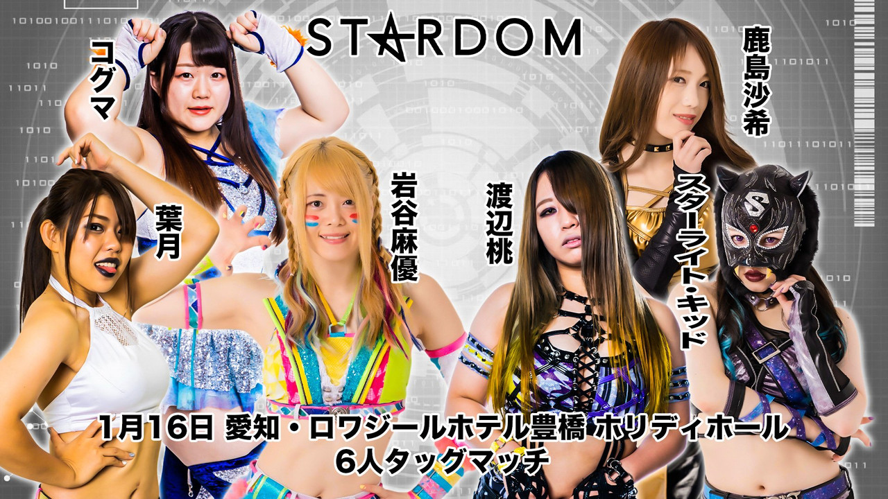 スターダム豊橋大会 - 剧照