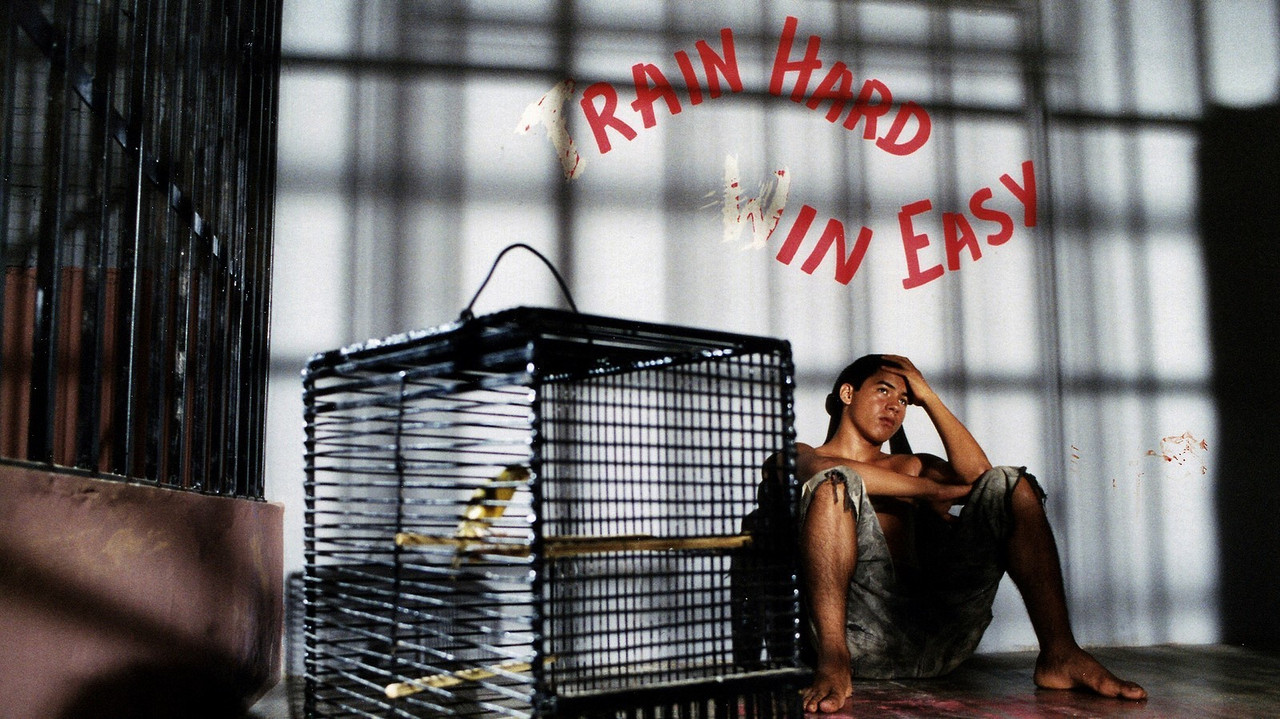 Bad Boy - Rennen am &Auml;quator - 剧照