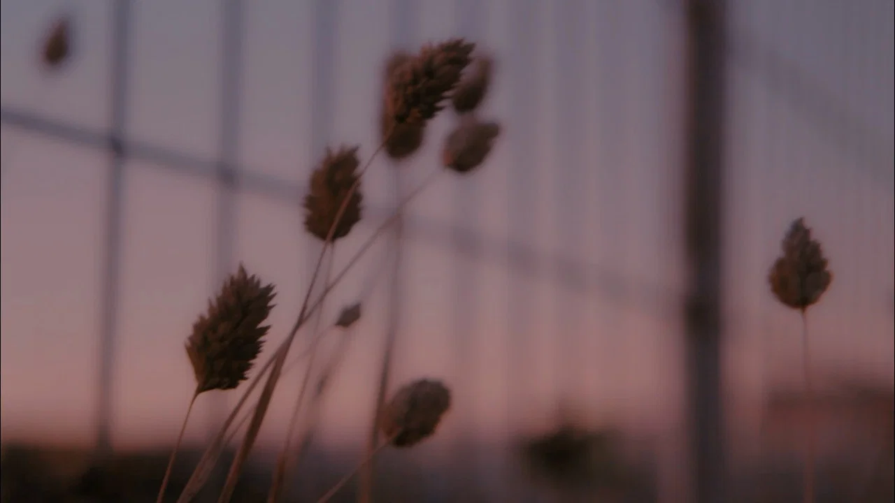 Growing Pains - 剧照