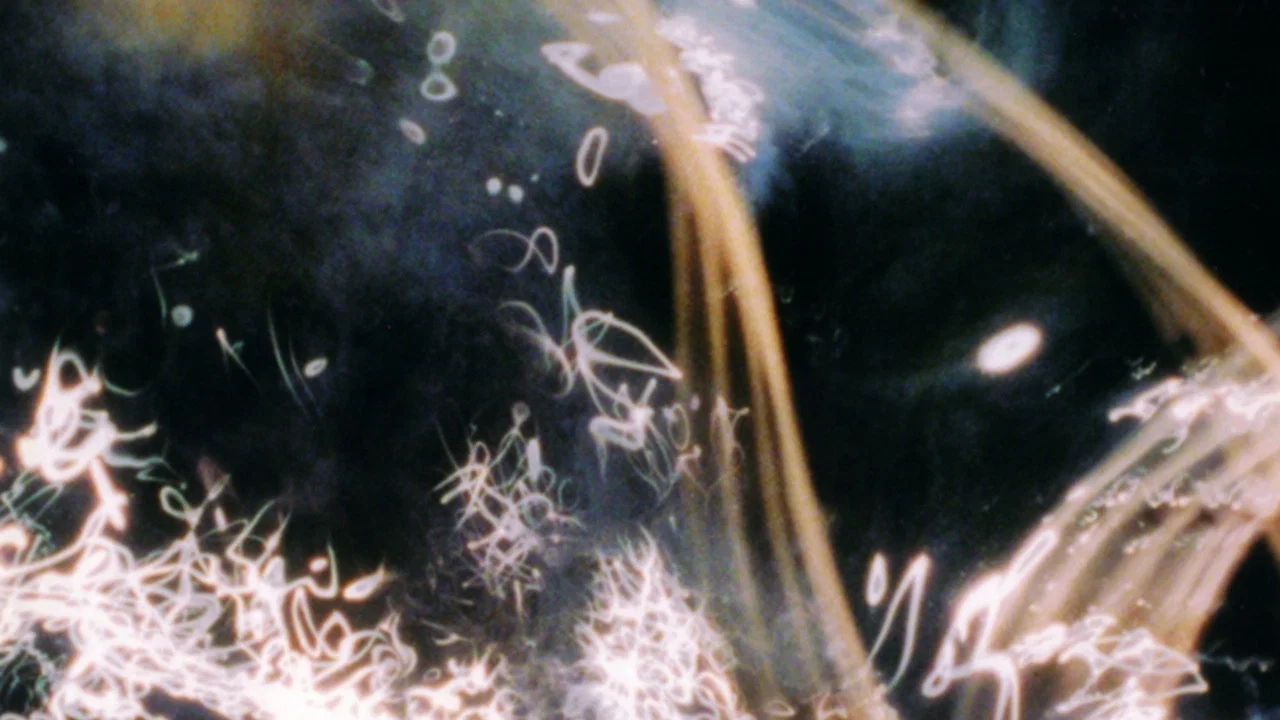 A Darkness Swallowed - 剧照