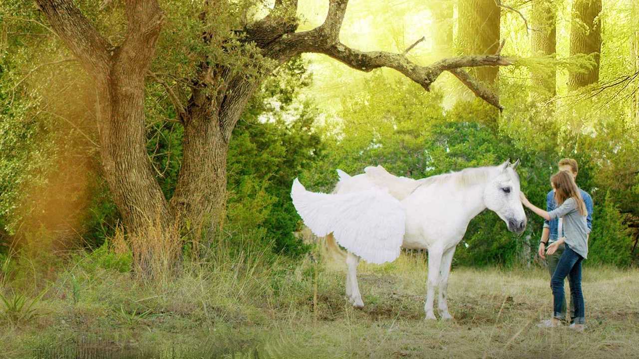 Pegasus: Pony With a Broken Wing - 剧照