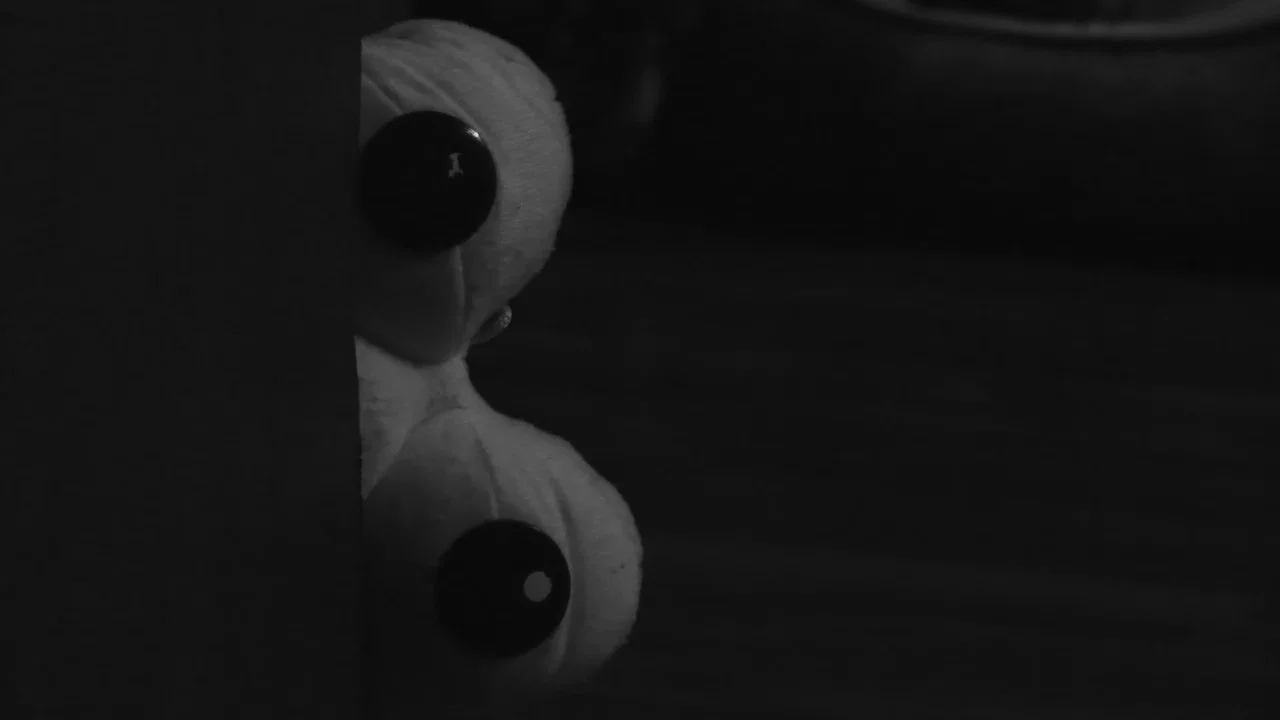 Ghost Buddies: The Gathering - 剧照