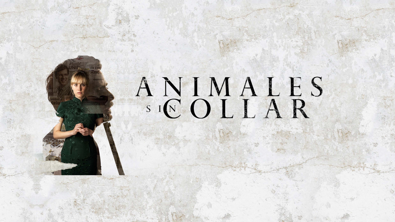 Animales sin collar - 剧照