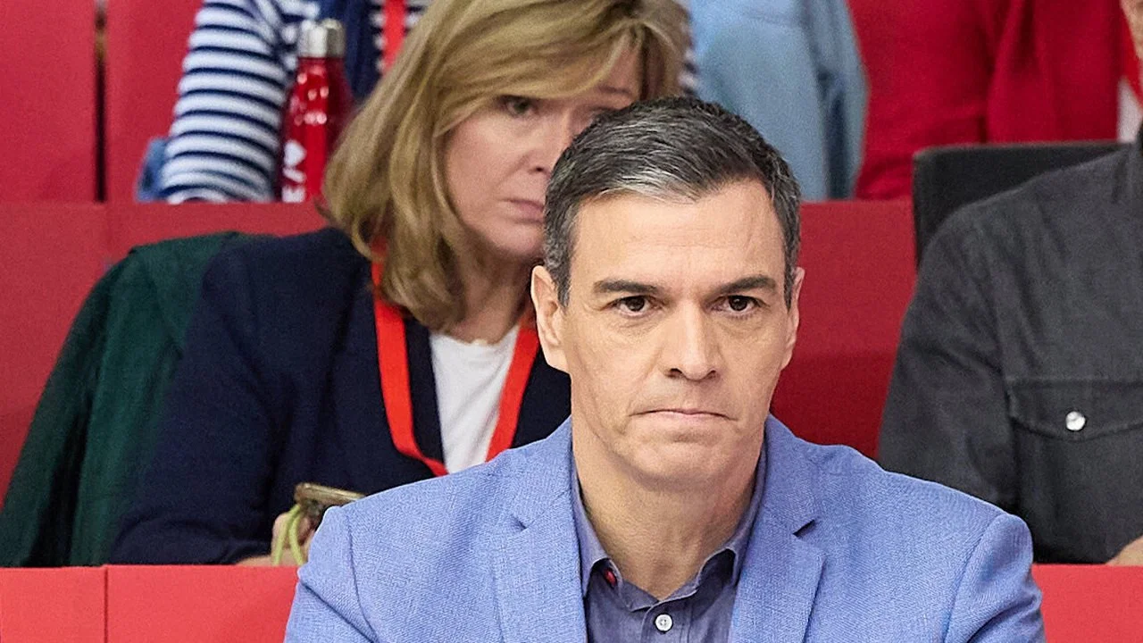 S&aacute;nchez S.A. Una historia de corrupci&oacute;n - 剧照