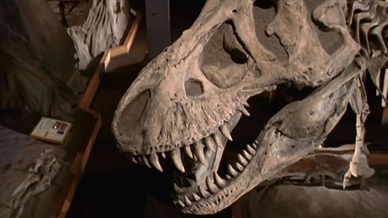 The Dinosaur Hunter - 剧照