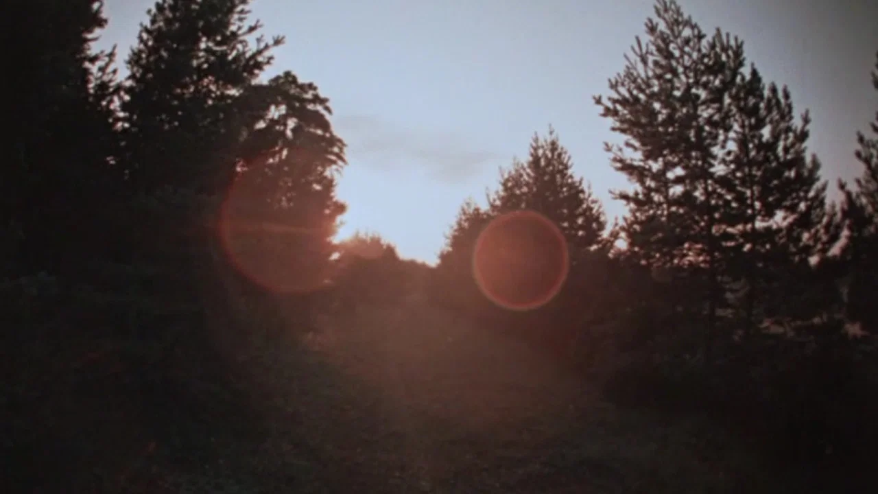 V&auml;rvilised unen&auml;od - 剧照
