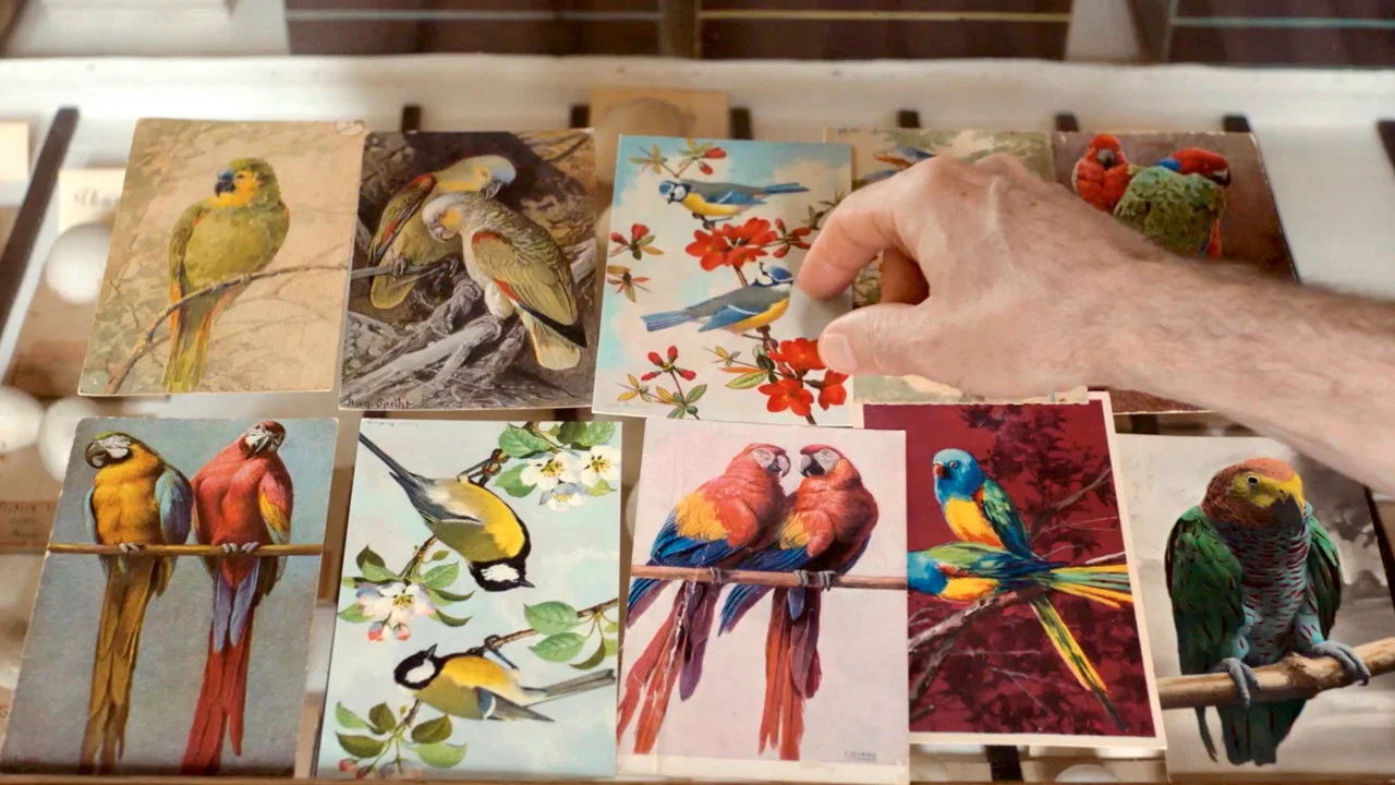 Langue des oiseaux - 剧照