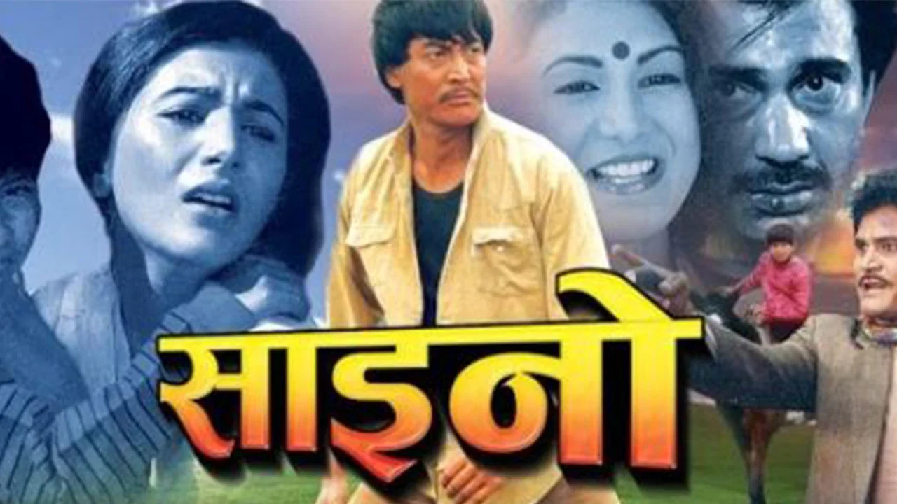 साईनो - 剧照