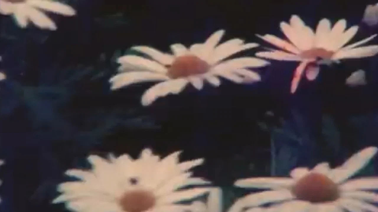 Ofrenda - 剧照