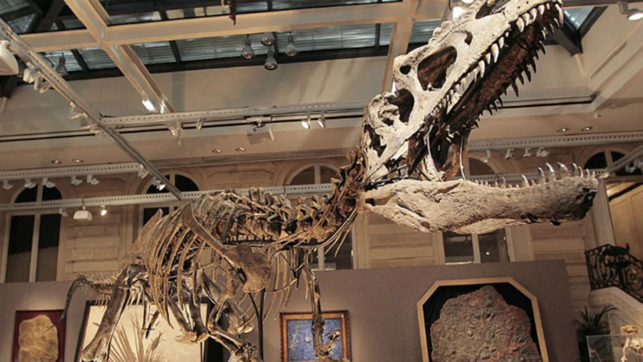 Dinosaurs - 剧照