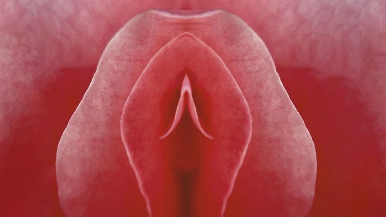 Mon nom est clitoris - 剧照