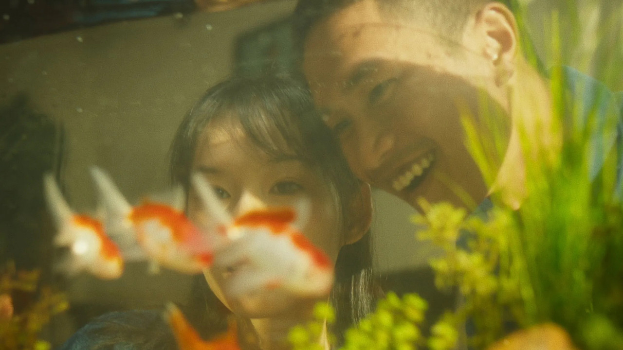 Đ&agrave;n C&aacute; Gỗ - 剧照