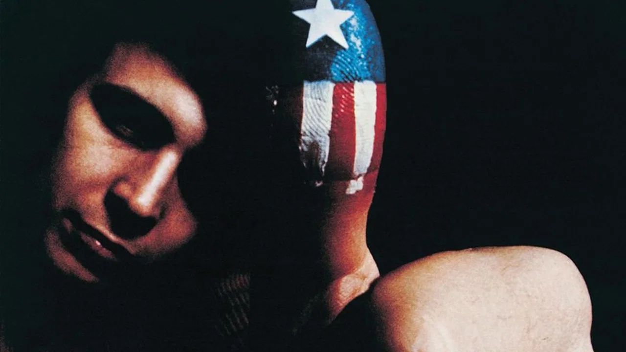 Don McLean: American Pie - 剧照