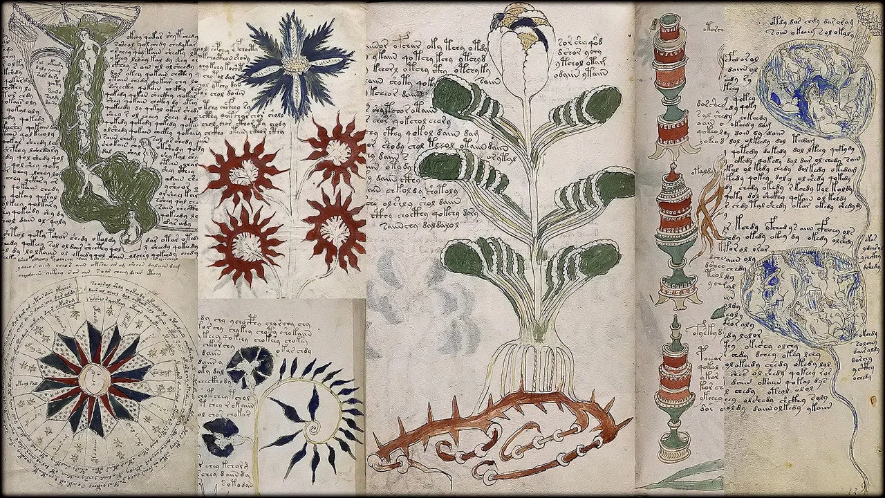 Das Voynich-Manuskript - Die geheimnisvollste Handschrift der Welt - 剧照