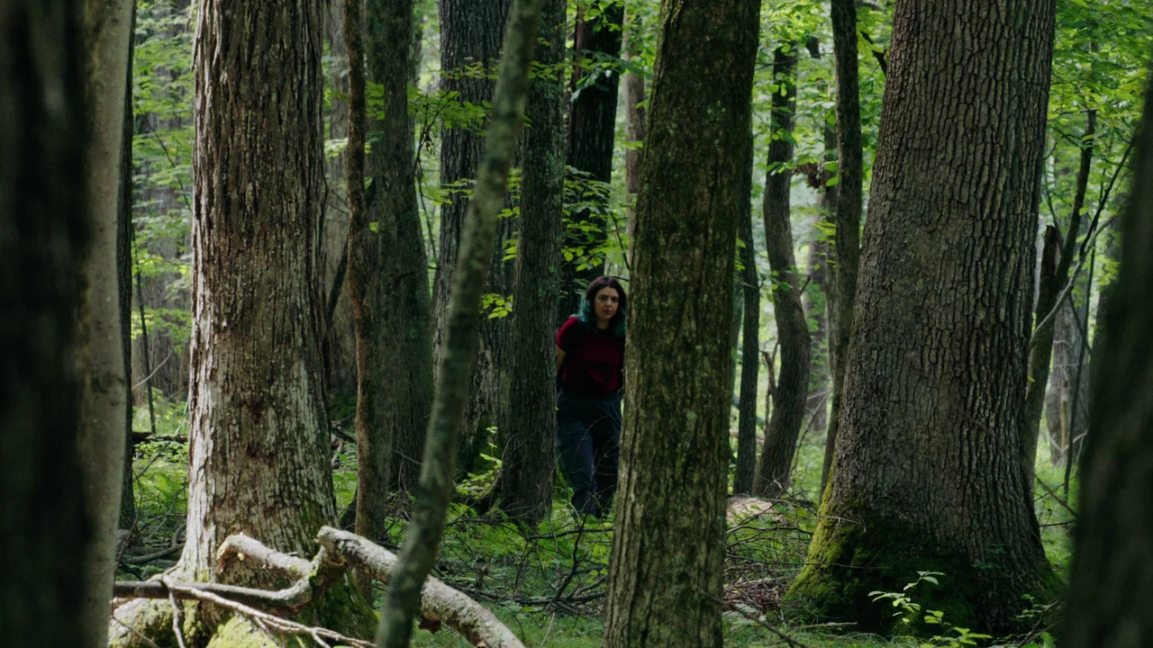 Through The Trees - 剧照