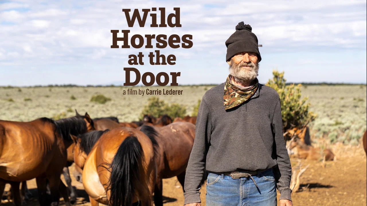 Wild Horses at the Door - 剧照