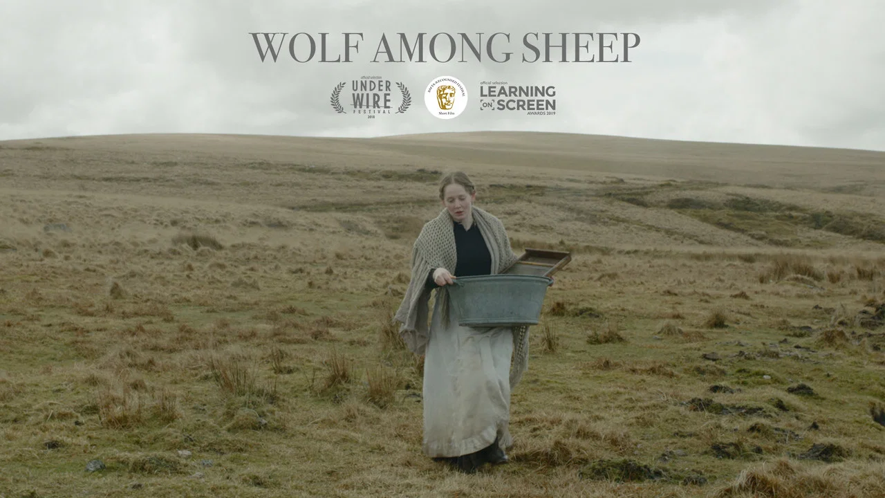 Wolf Among Sheep - 剧照