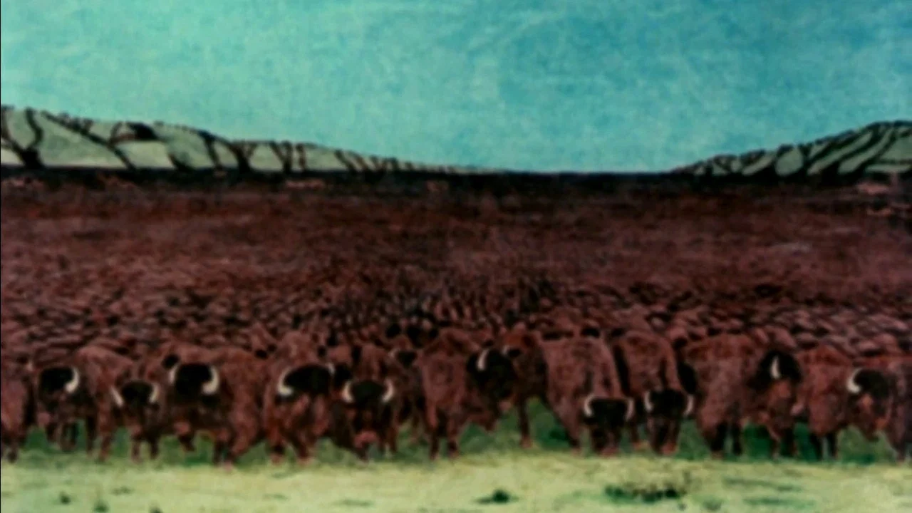 The Great Buffalo Saga - 剧照