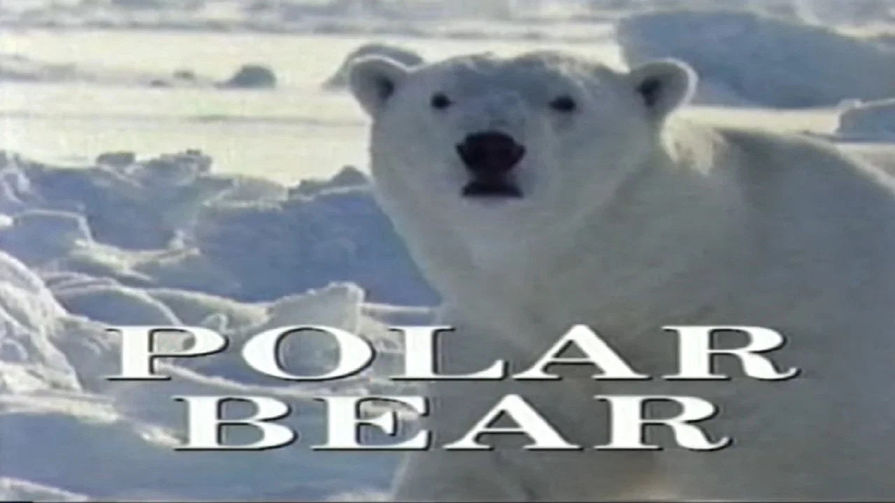 Predators of the Wild: Polar Bear - 剧照