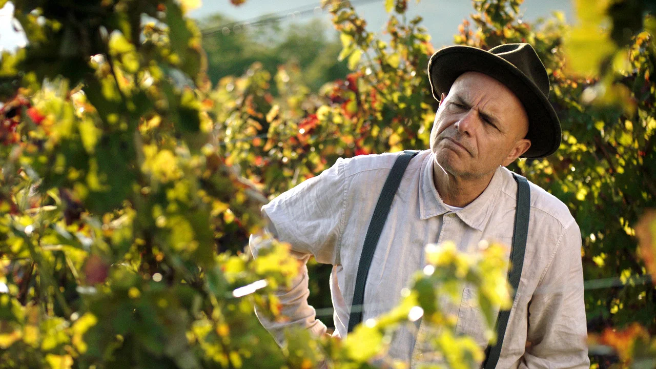 From the Vine - 剧照