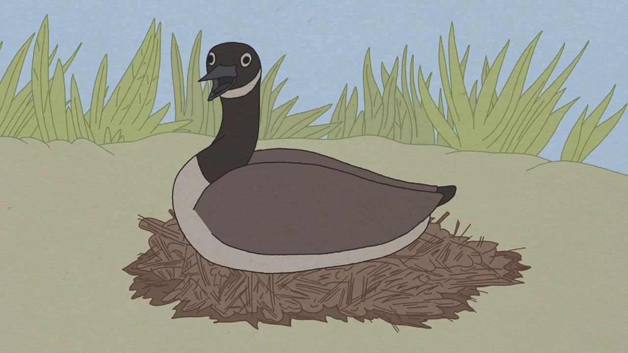 Hudson Geese - 剧照