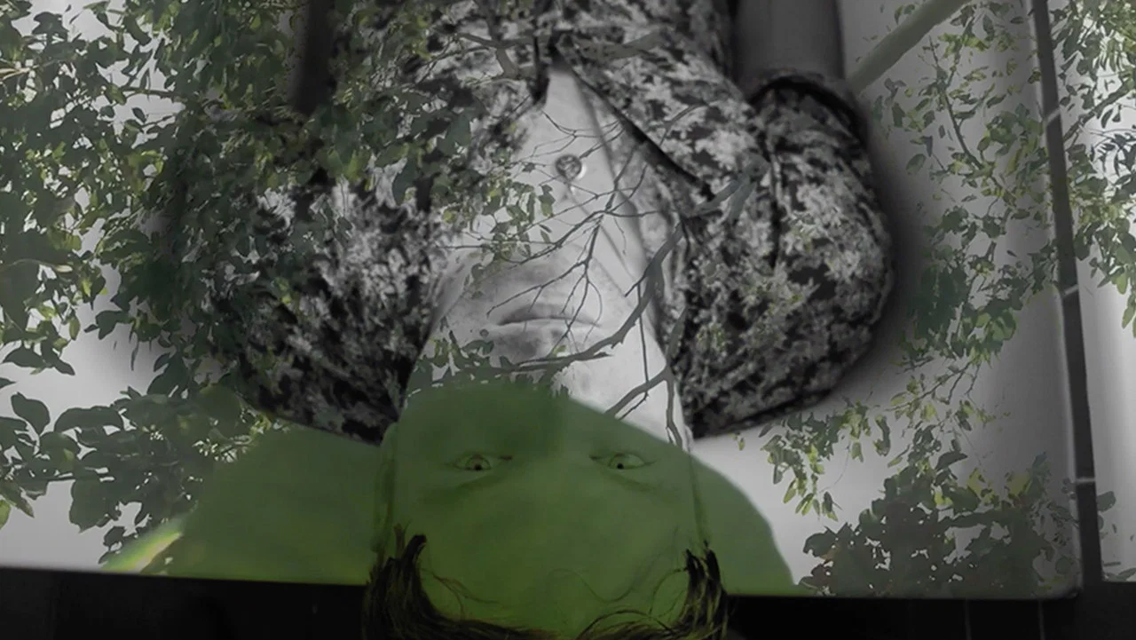 Longing of the idle plants - 剧照