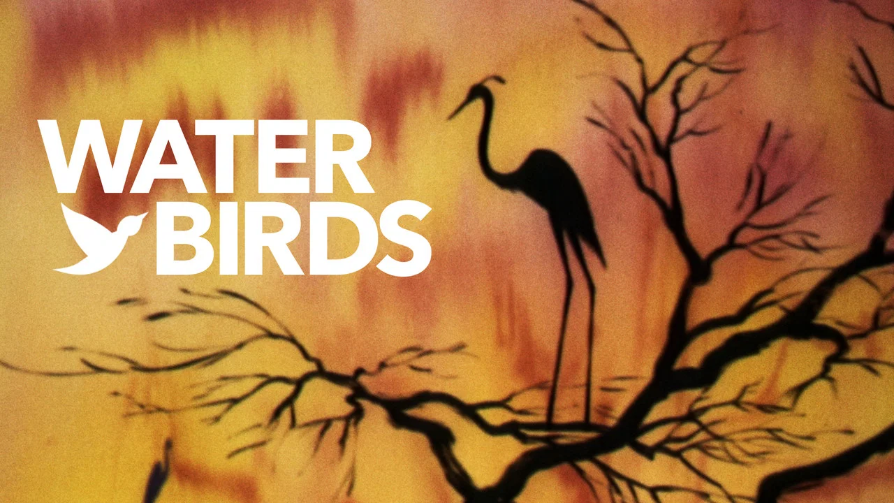 Water Birds - 剧照