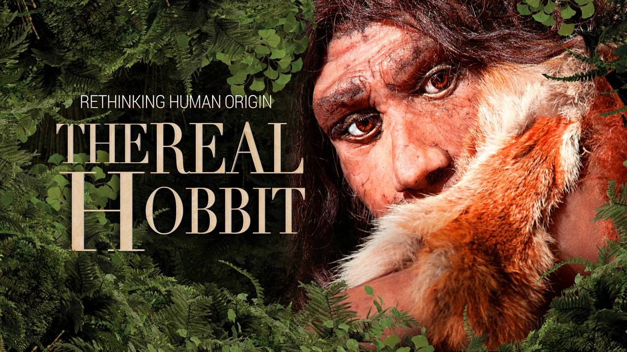 The Hobbit Enigma - 剧照