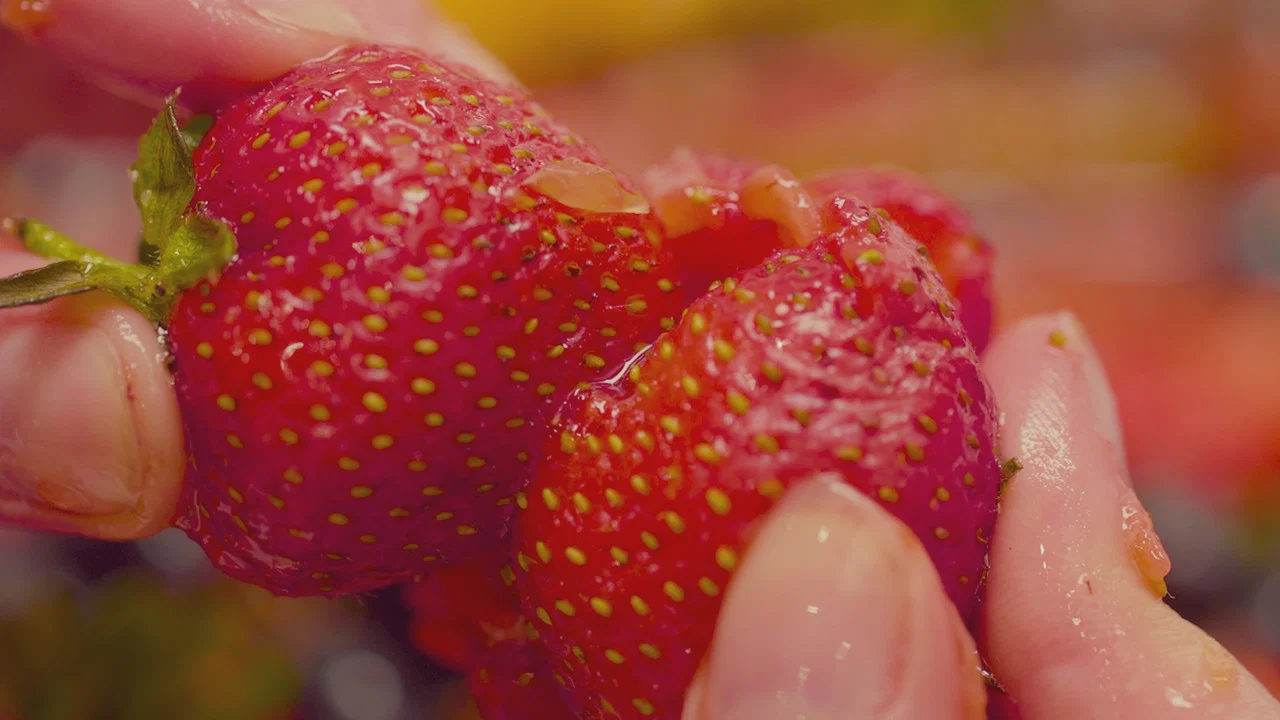 Fruity - 剧照