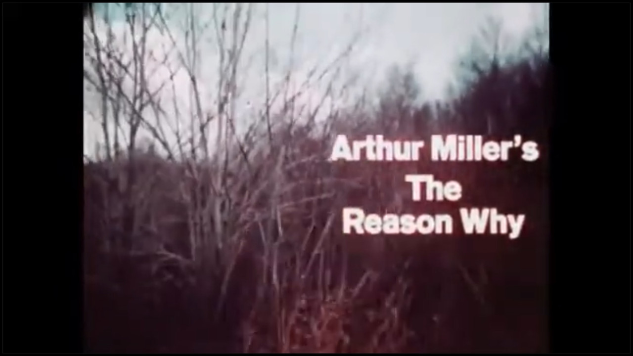 The Reason Why - 剧照