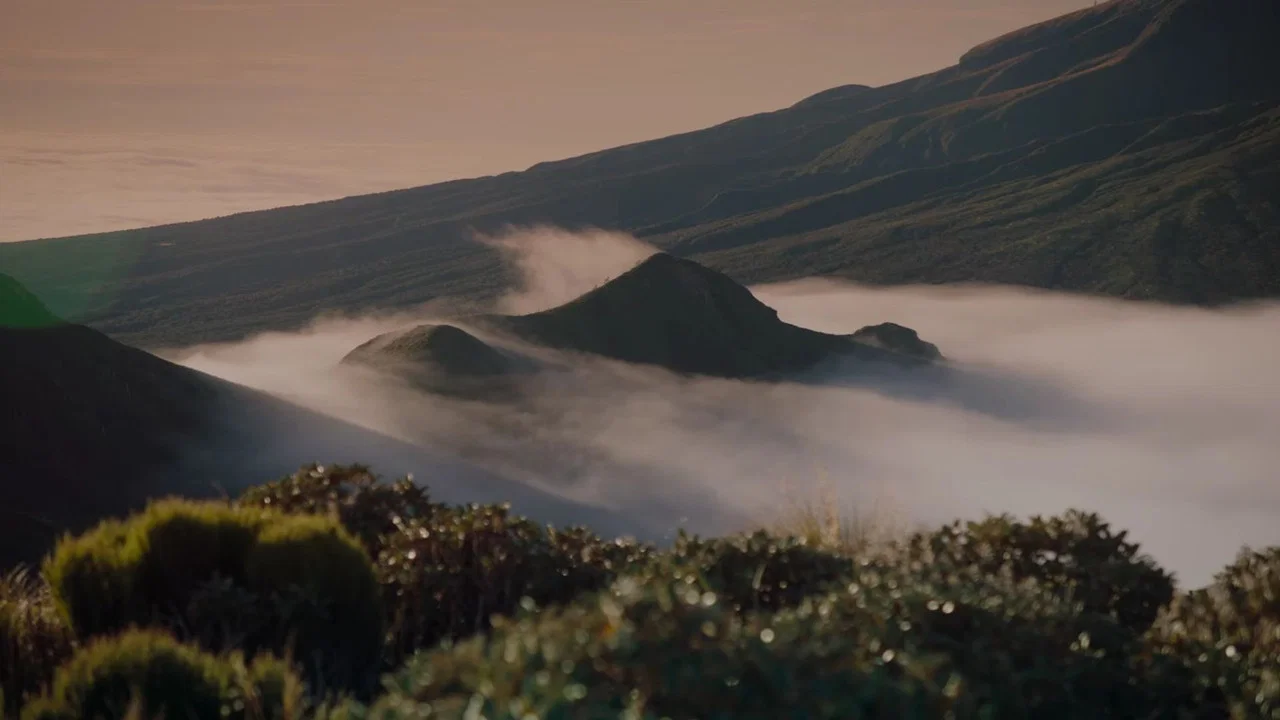 The Mountain - 剧照