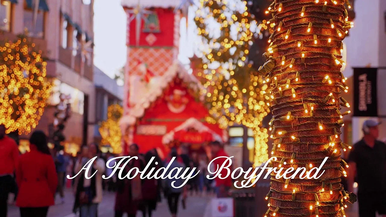 A Holiday Boyfriend - 剧照