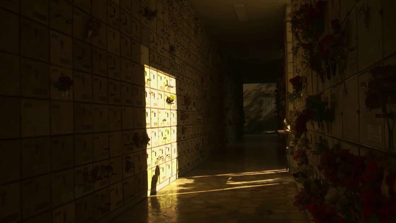 Santuario - 剧照