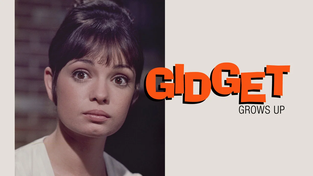 Gidget Grows Up - 剧照