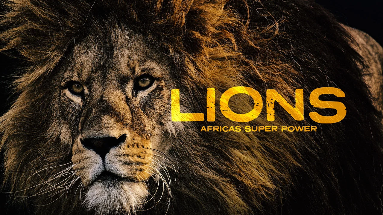 Lions: Africa's Super Power - 剧照