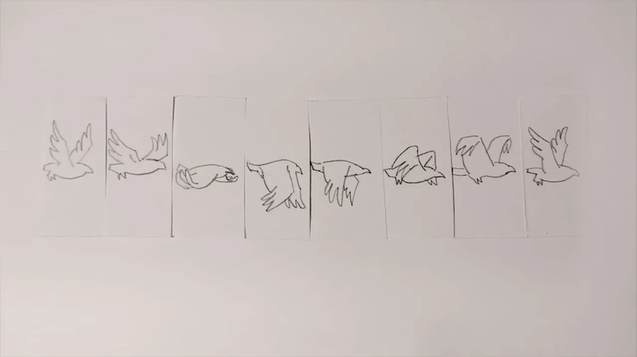 Libertad - 剧照