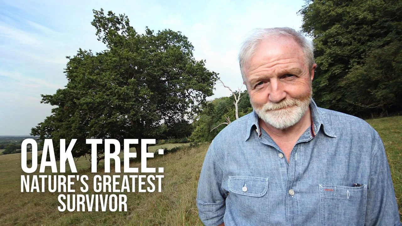 Oak Tree: Nature's Greatest Survivor - 剧照