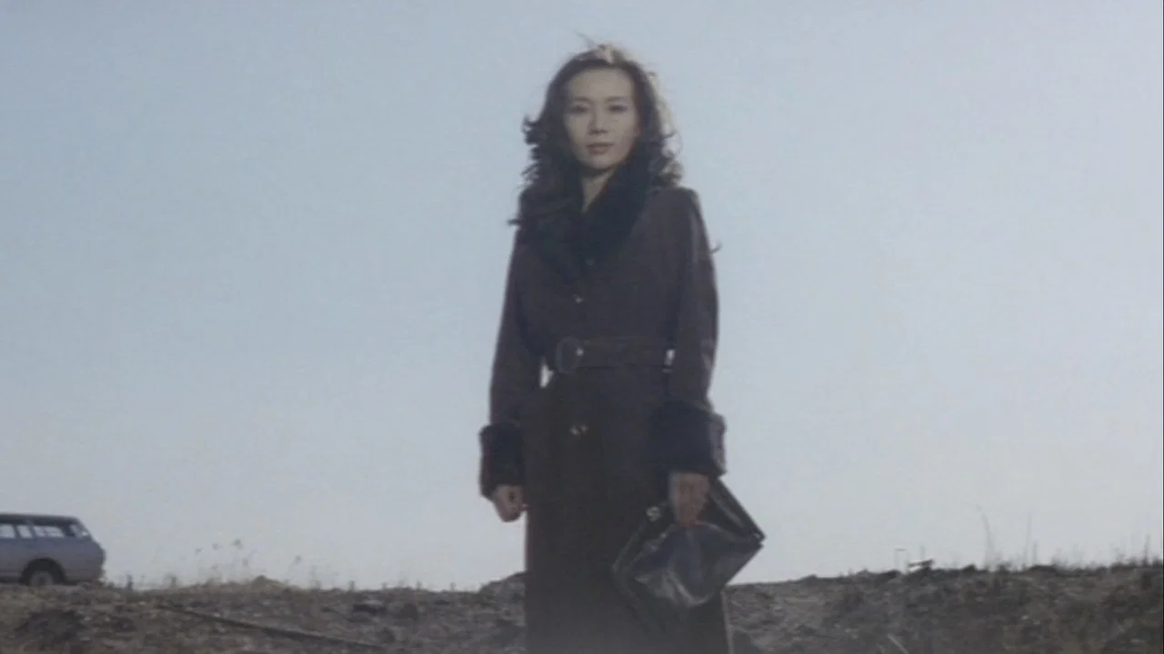 特写镜头：写真女郎 - 剧照