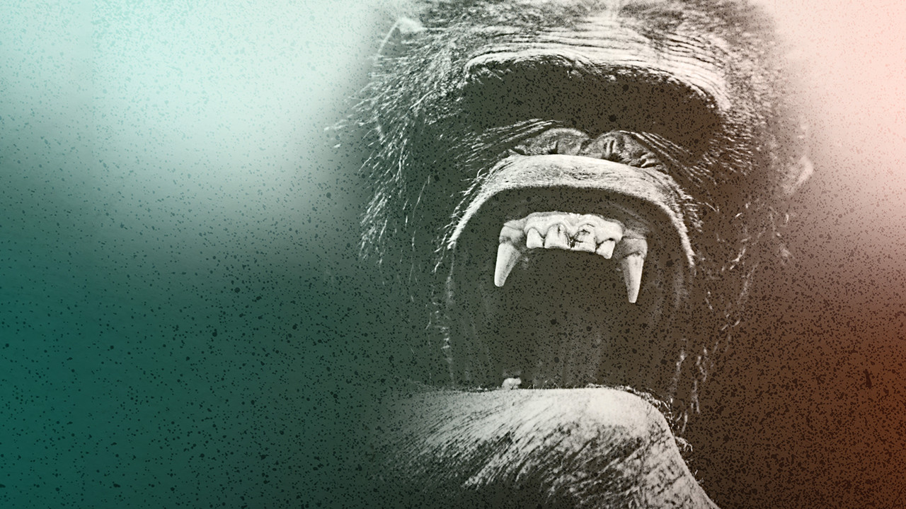 Rise of the Warrior Apes - 剧照