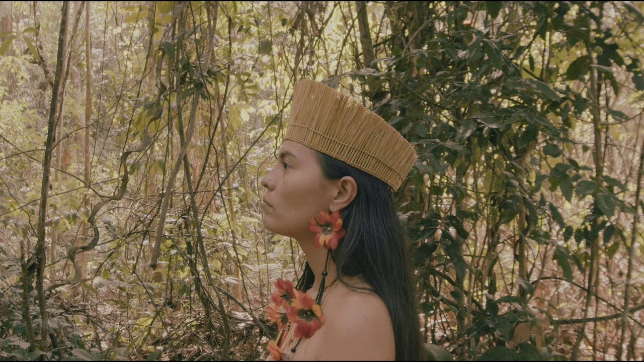 Cosmovis&otilde;es - 剧照