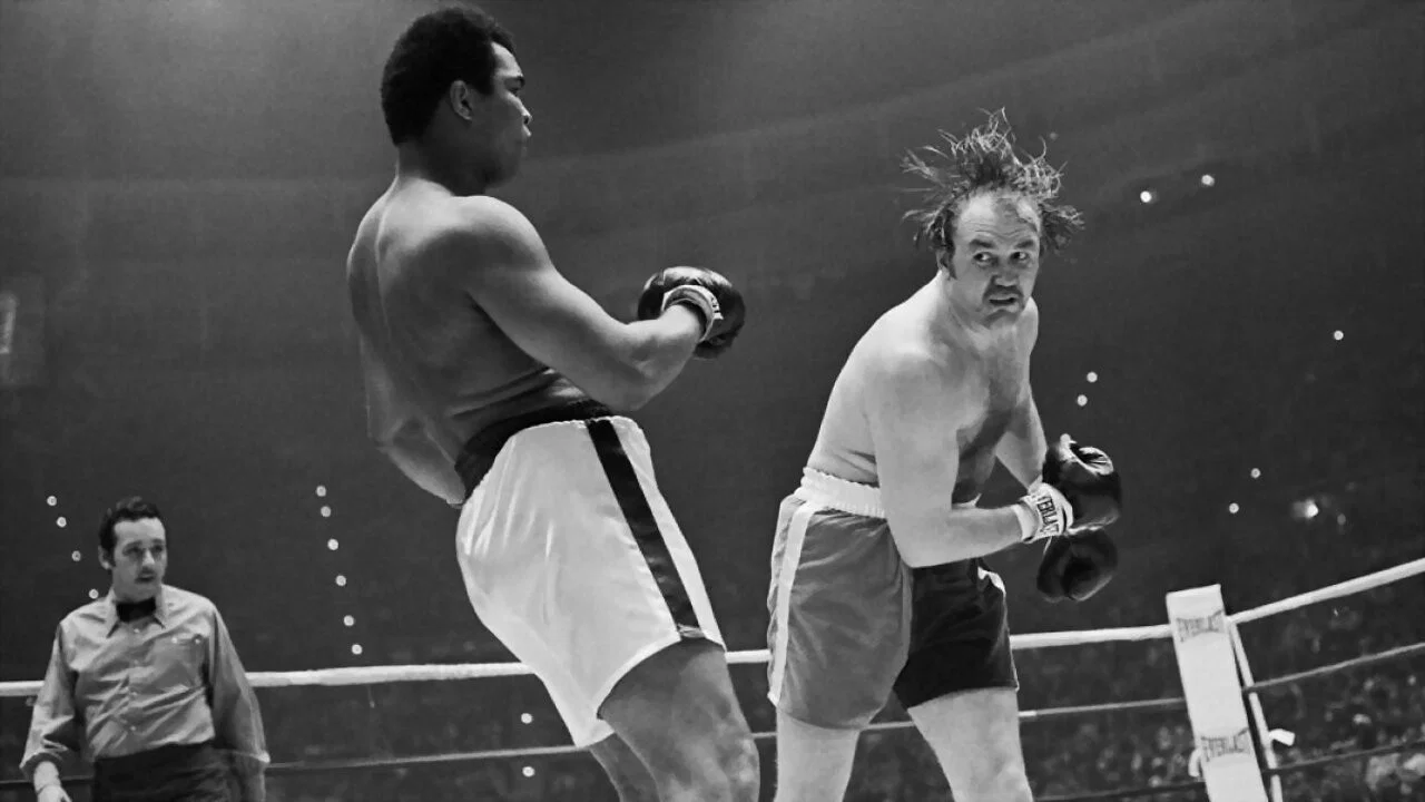 The Real Rocky - 剧照