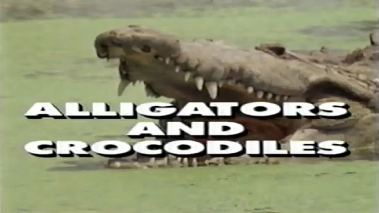 Predators of the Wild: Crocodiles and Alligators - 剧照