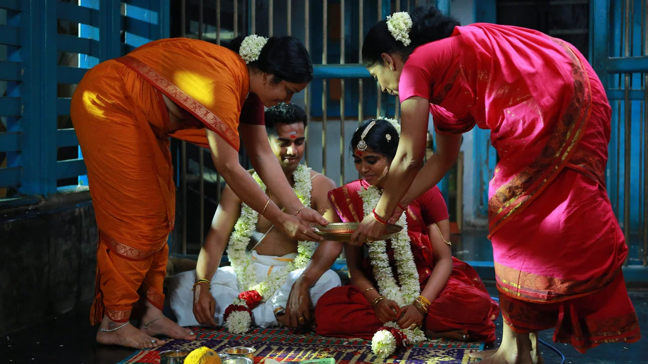 ஹவுஸ் ஓனர் - 剧照