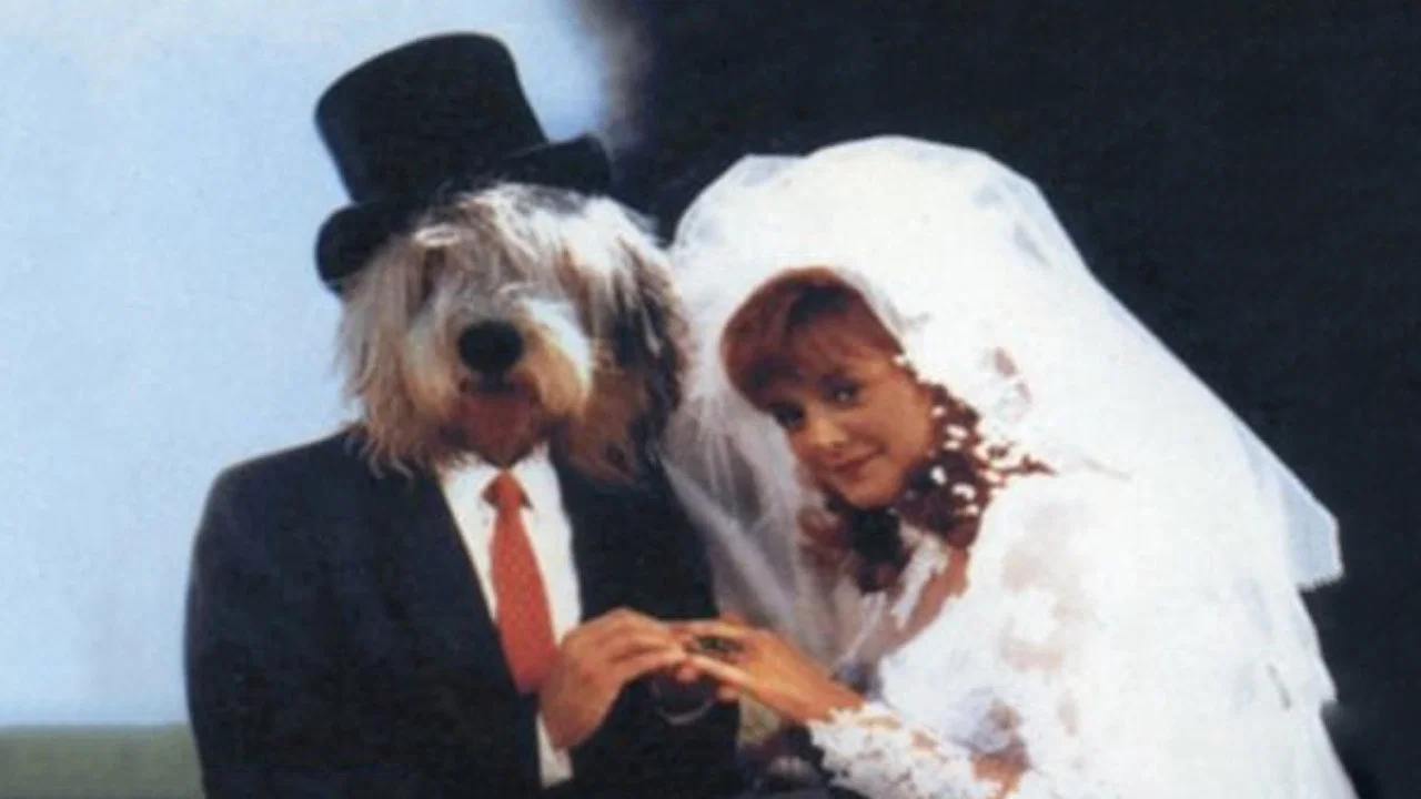 The Return of the Shaggy Dog - 剧照