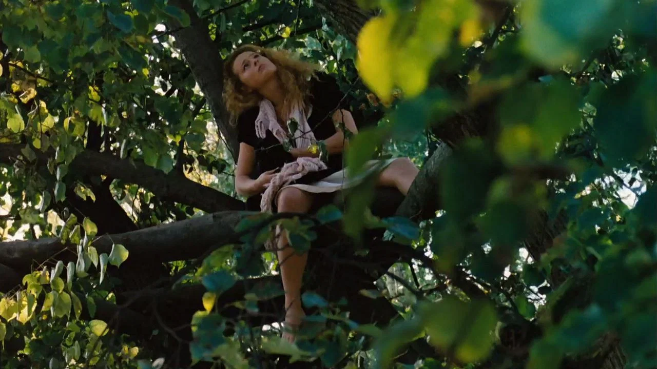潇洒上枝头 - 剧照