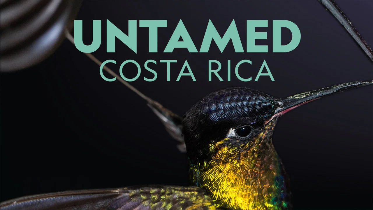 Untamed Costa Rica with Filipe DeAndrade - 剧照