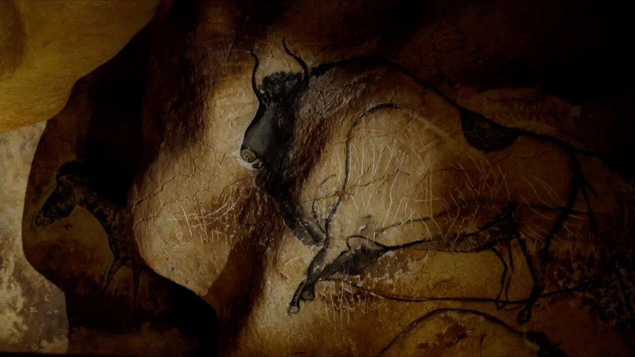 Sapiens ou la naissance de l&rsquo;art - 剧照