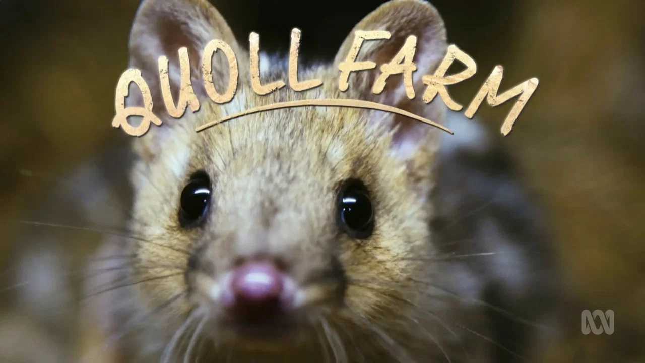 Quoll Farm - 剧照