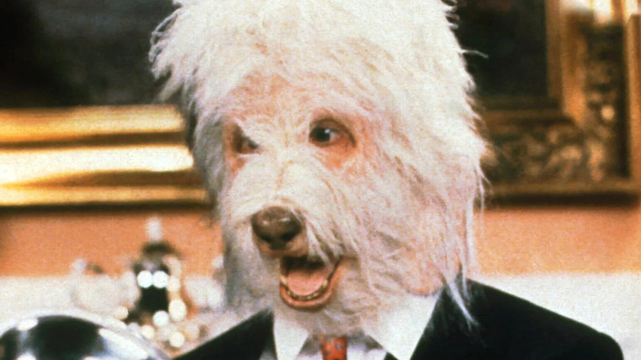 The Return of the Shaggy Dog - 剧照
