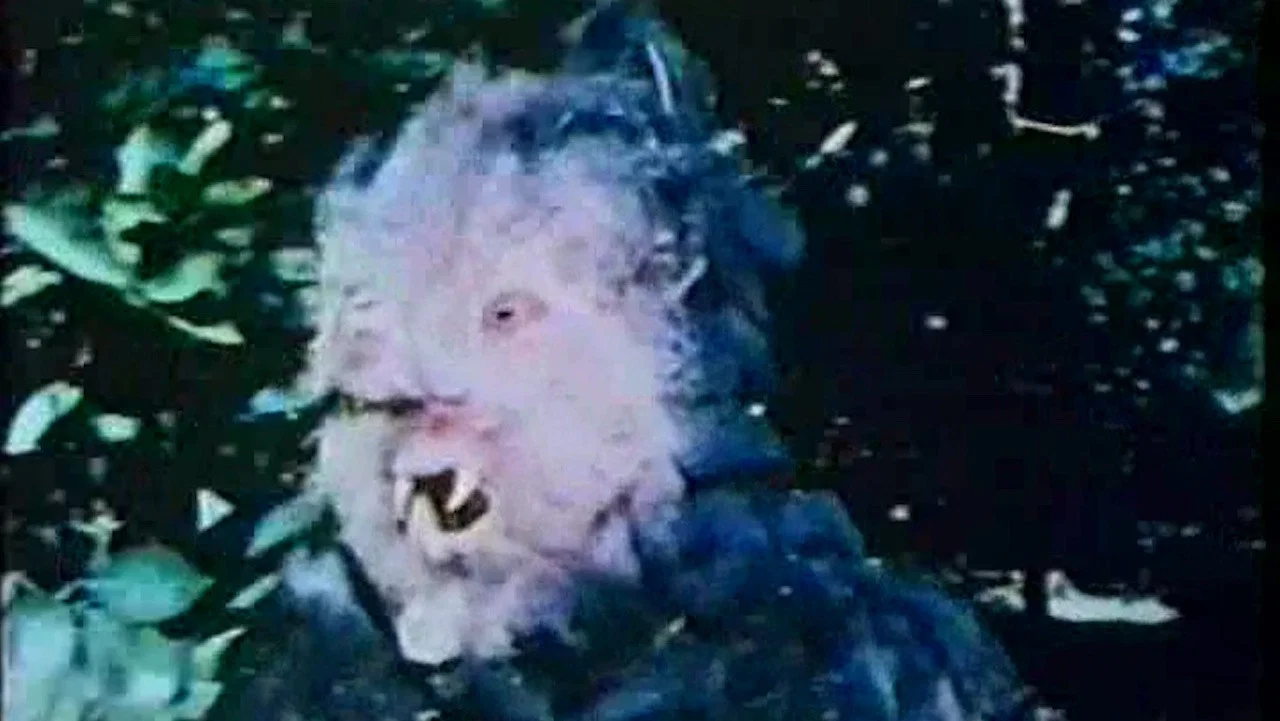 Curse of Bigfoot - 剧照